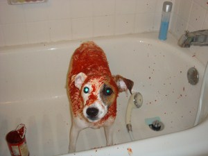 tomato bath